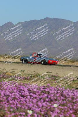 media/Jan-29-2023-PCA San Diego (Sun) [[aa0301ccc2]]/Yellow Group/Session 1 (Turn 15 Bloom)/